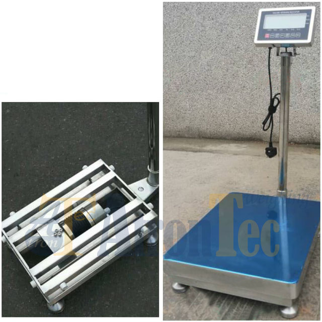 300kg Capacity and 420* 420mm Weighing Platform Stainless Steel Waterproof Platform Scale