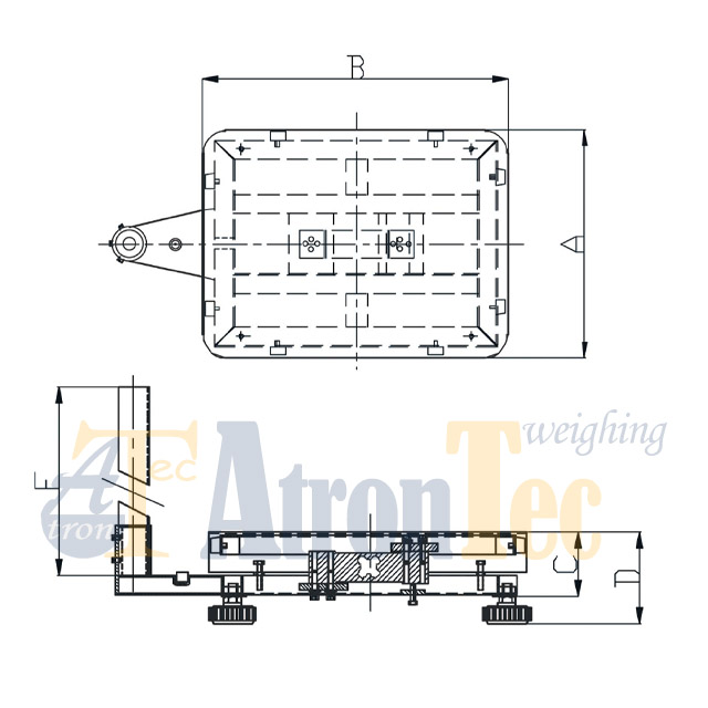 RXS weighing platform-6