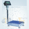 Platform Size 300*400mm Stainless Steel Platform Scale, 100kg Capacity Electronic Waterproof Weighing Scale