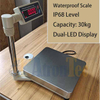 Portable Platform Scale Waterproof Weighing Scale with Capacity 30kg