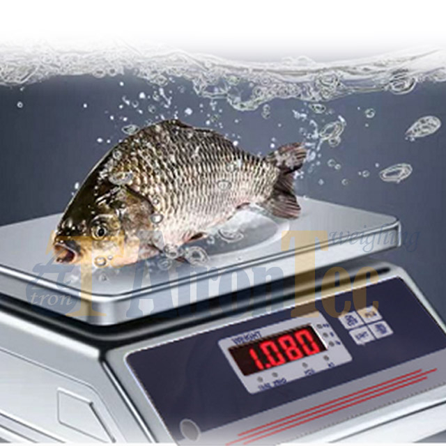 Scale Waterproof IP68 Waterproof Weighing Scales, Stainless Steel Platform Weighing ...