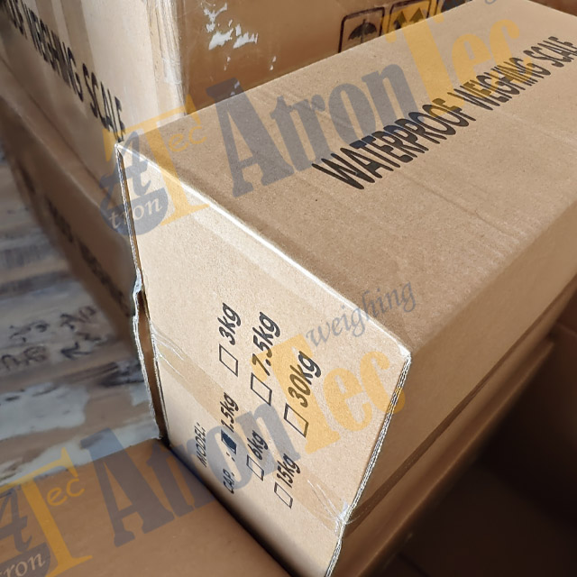 6kgx2g AGTS scales-8