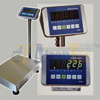 D226 Stainless Steel Weighing Indicator with Bright LED Display