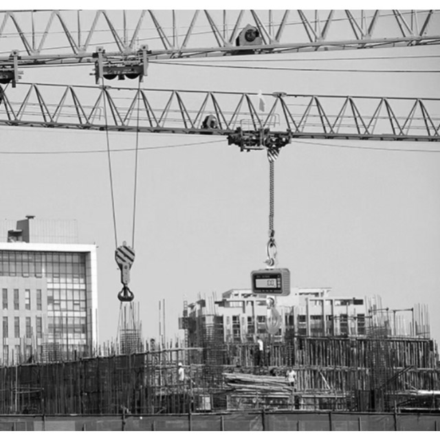 waterproof crane scale-7