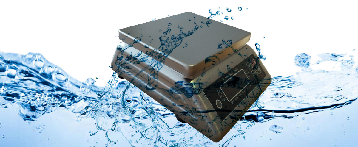 washdown weighing scale